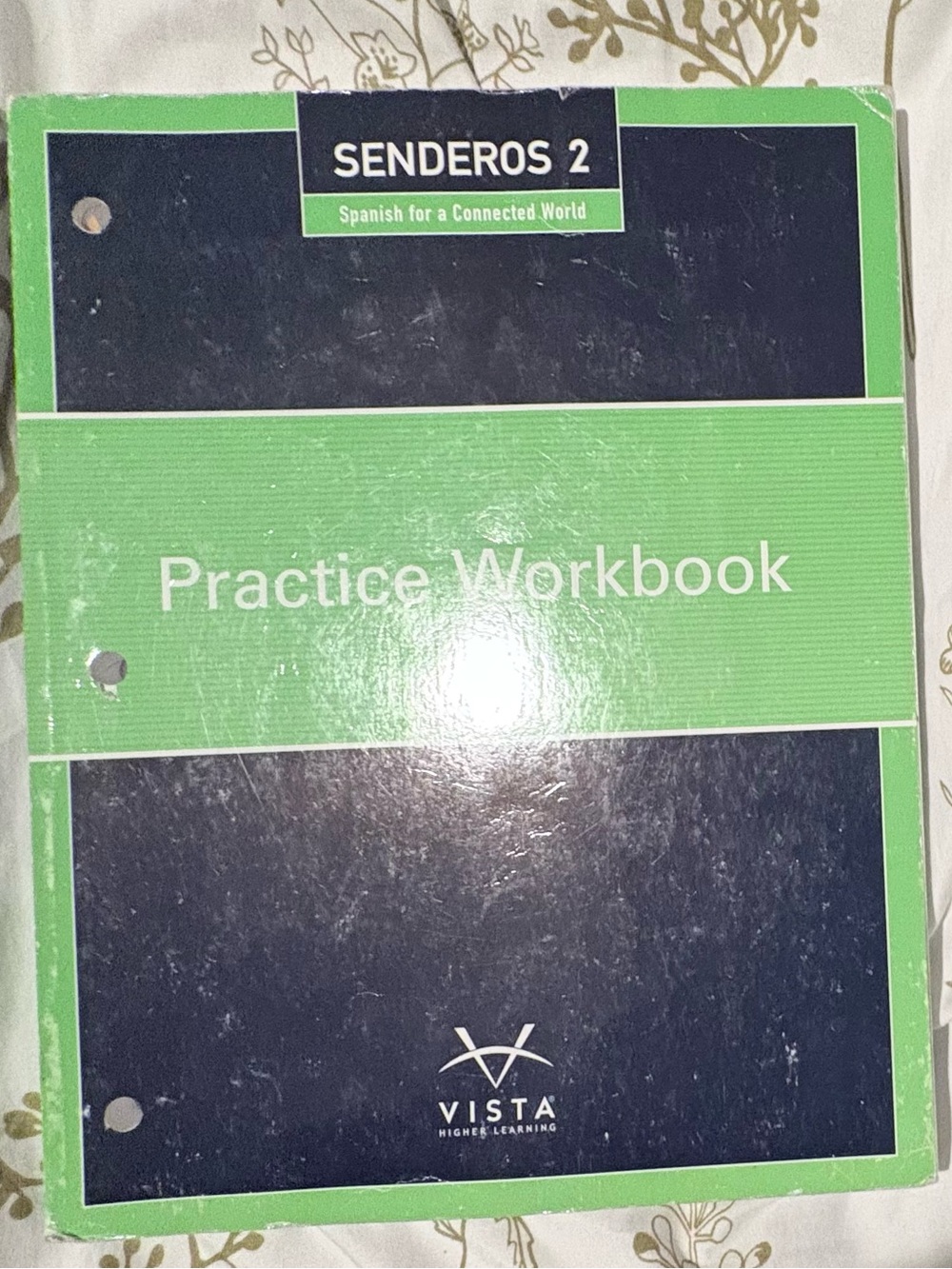 Senderos 2 Practice Workbook - Green